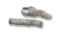 M 06742
<br/>
<br/>
<em></em>